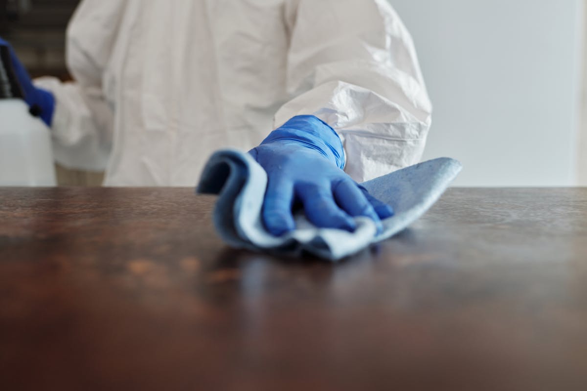 Warum sind bestimmte Küchenutensilien wahre Keimschleudern