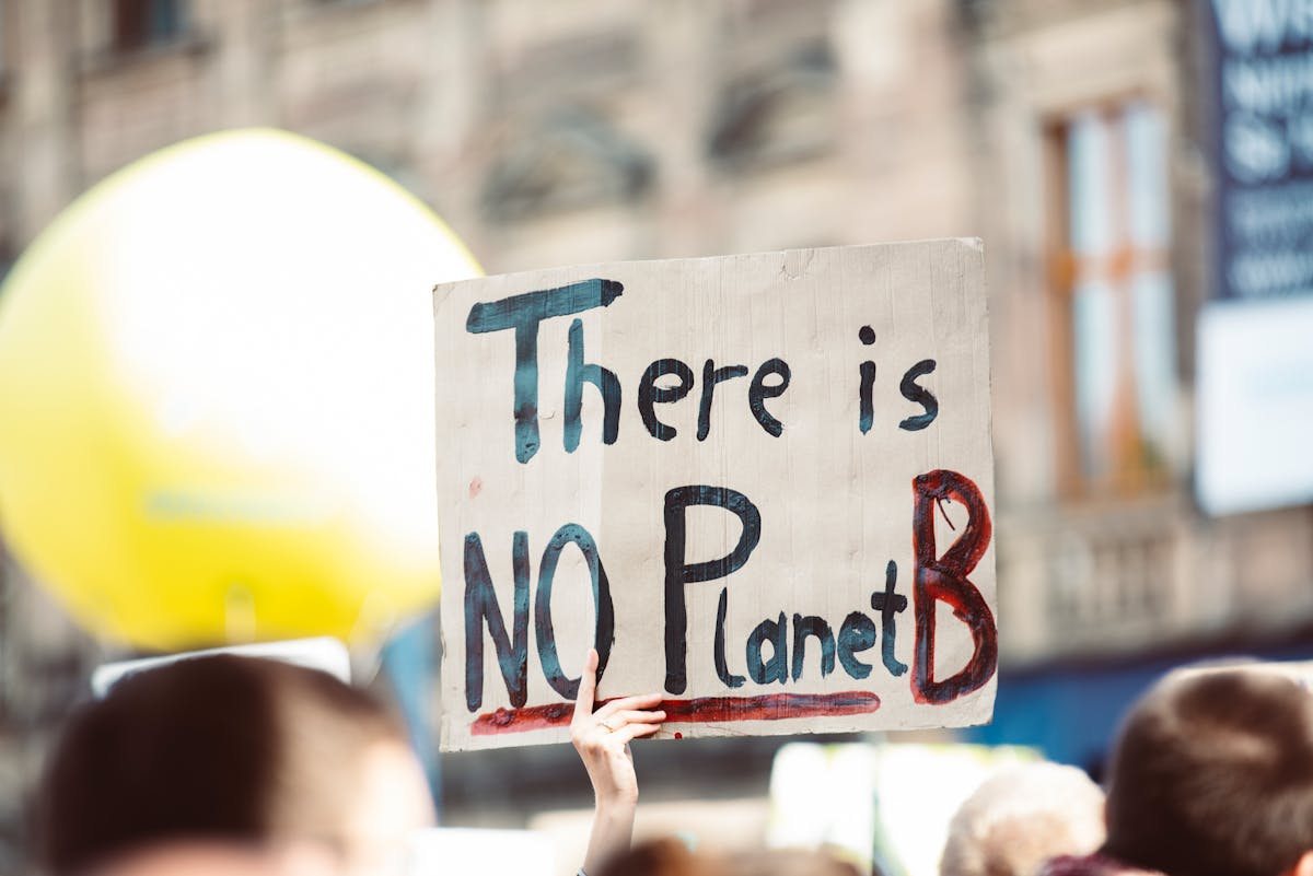 Welche Auswirkungen hat der globale Fleischkonsum auf die Umwelt