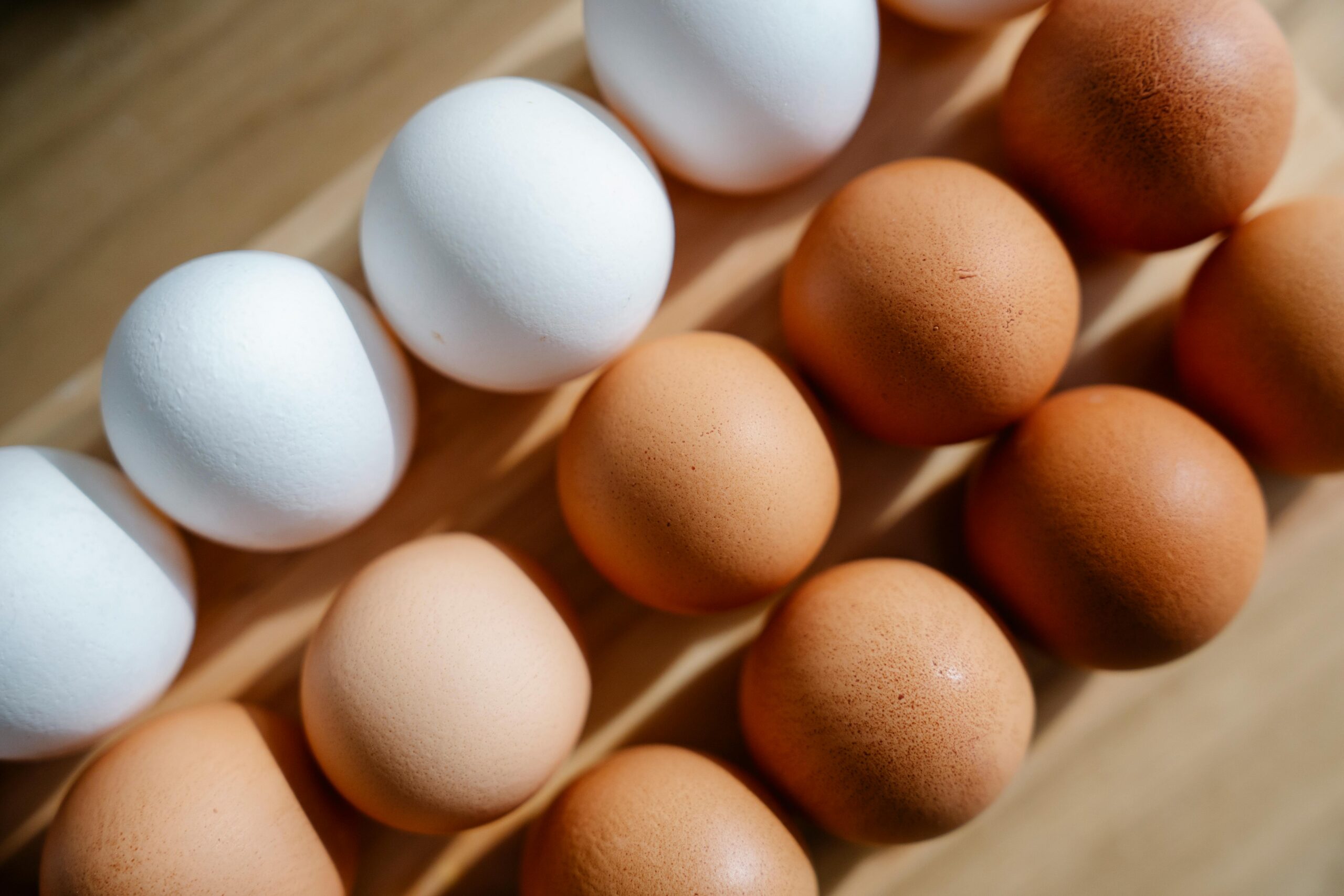 Warum führt eine proteinreiche Ernährung zu Nierenschäden?