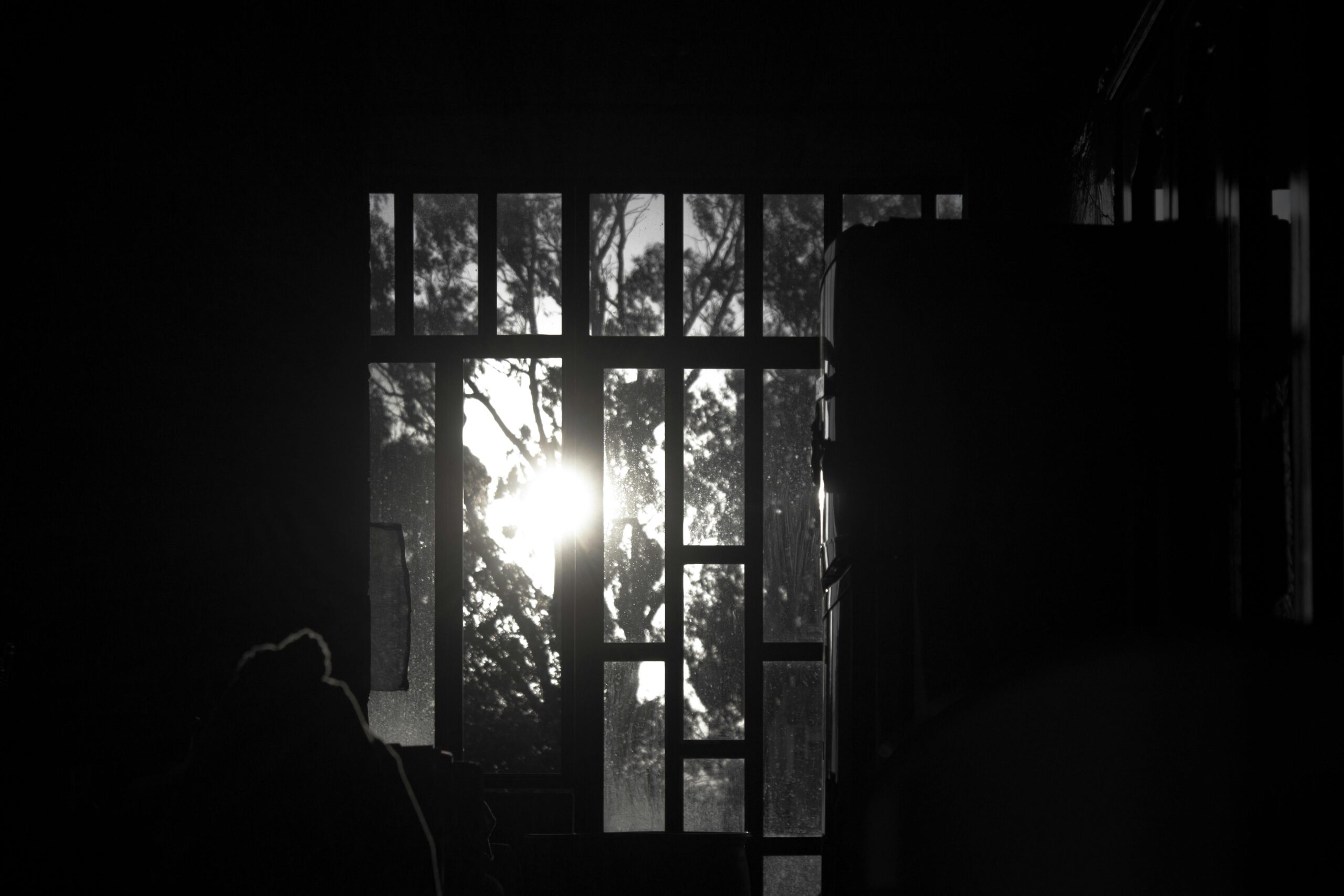 Wie verhindere ich Schimmelbildung an Fensterrahmen im Winter?